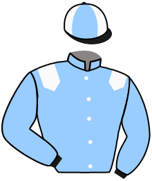 SILVER JEWEL