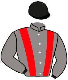DAME DE LA STELLA