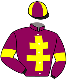 METISS DU GRANIT