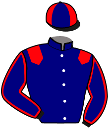 JALNA DES HAYES