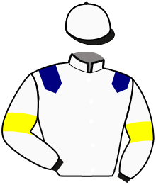 ILLICO DU GUESNE