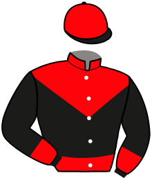 HUGO D'HERTALS