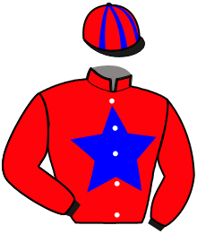 HYM SUBLIGNAIS