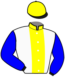 LASER DE JOUDES