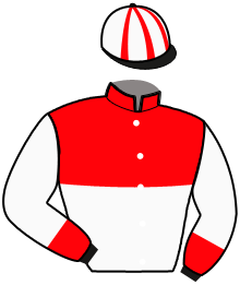 FEELS LIKE FOREVER (SE)