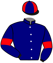 CHESTNUT ROCKET