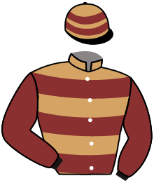 CHARM WRENS