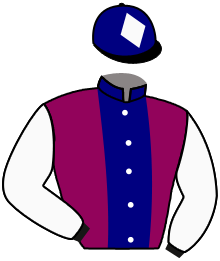 VIKING D'AUMONT