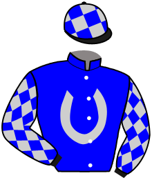 SIR EXPRESS