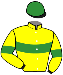 NELSON VOLTIGEUR