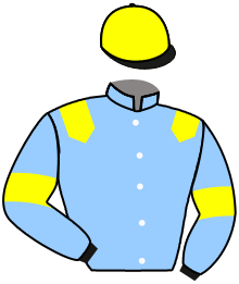 INDIVIS