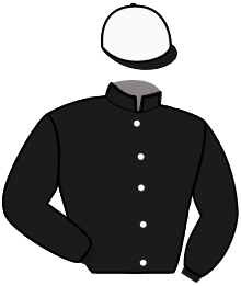 MEDICI DE BUSSET