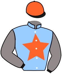 HOLIGAN DU BERLAIS