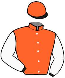 JOB DU PERSIL