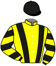 DIEGO D'ARTOIS