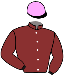 ZULU WARRIOR