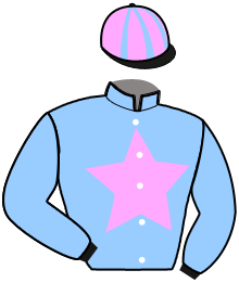 JET SETTER D'AURCY
