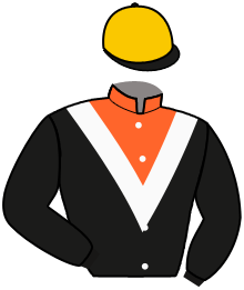 LA CARRIERE