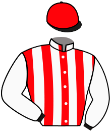 VLADDIMIR