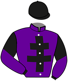 HAKIRI PURPLE