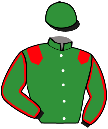 INA DU RIB