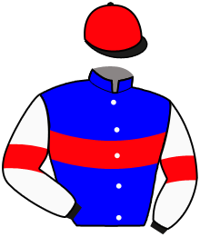 HERMAU DE SUZON