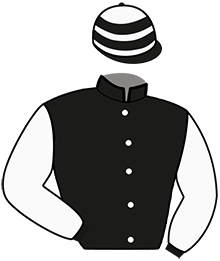 INSOLENT SOMOLLI
