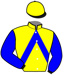 MYSTIQUE LADY