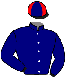 HAPPY INTRIGANT
