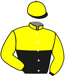 MARIANERO DE ACERO