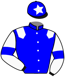 SERGEANT PEPPER
