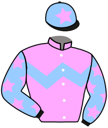 SUPER UNICORN