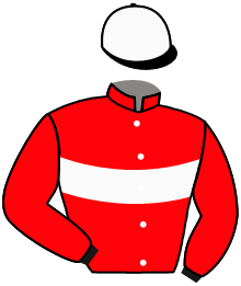FELINI