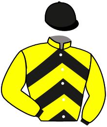 MAGIQUE FLY