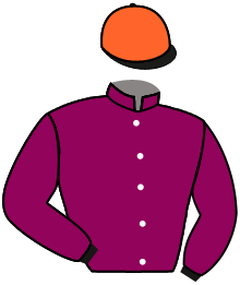 SAINT SIRE