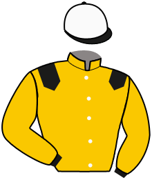 MUSE ROYALE