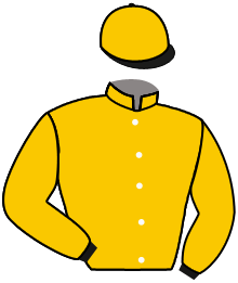 GLADIADOR STONE
