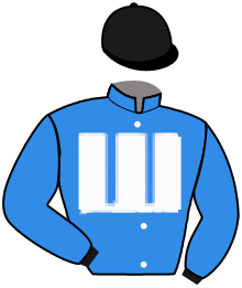 NINA'S VICTORIA