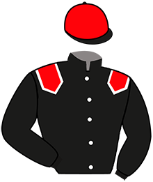 L'ETOILE D'URSIN