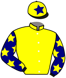 SEA SCOUT