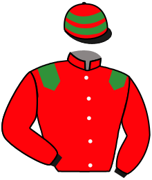 MIA MODENA