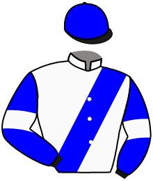 HAVIVA
