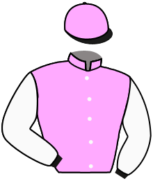 SWEET WILLIAM
