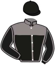 GINO VIVA
