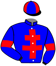 PETRUS DE HOUELLE