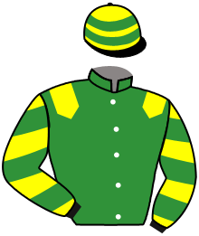 STECASTER