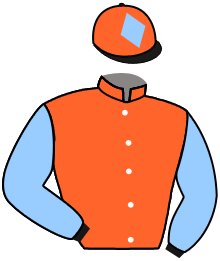 GINJA DES TAILLONS
