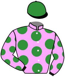 JAGUAR DES OBEAUX