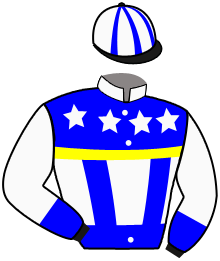 LEADER DE VAUVILLE