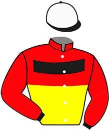 ROGER F SWAGERMAN